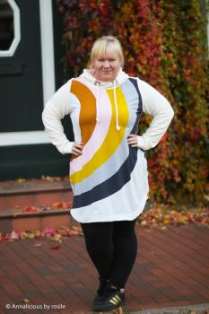 Preview: Baumwoll Jersey Magnificent Rainbow by Käselotti von Swafing